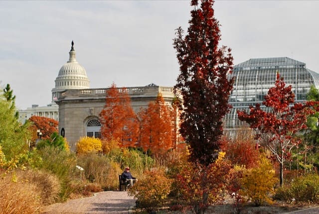 National Garden at the U.S. Botanic Garden in Fall by US Botanic Garden