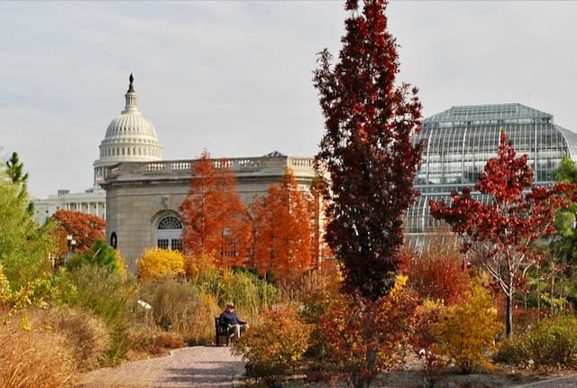 Photo by the U.S. Botanic Garden of the National Garden in Fall