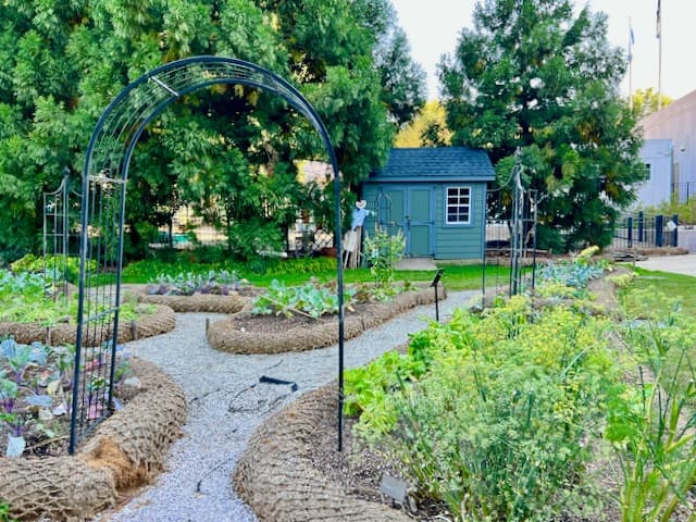 Vegetable Beds at the Smithsonian Victory Garden Washington D.C.