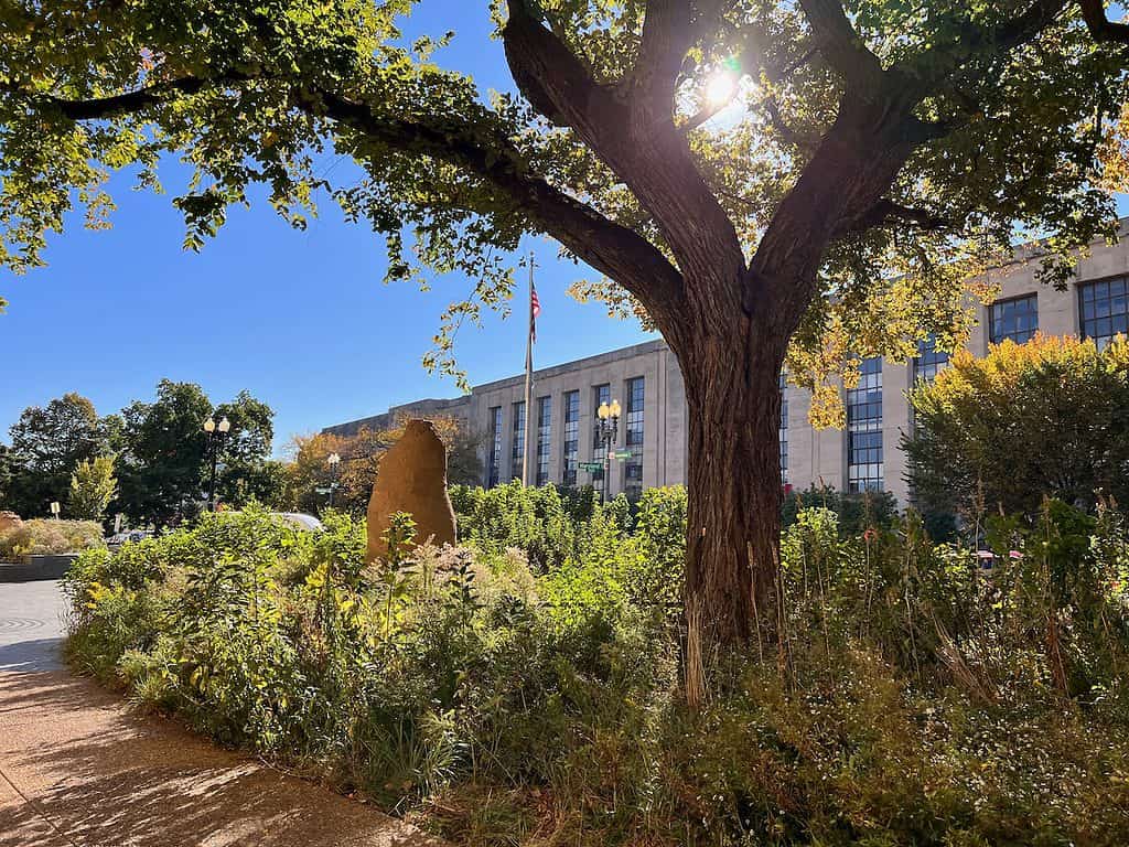 Art installation at the Smithsonian National Museum of the American Indian, Always Becoming, created from clay and other organic materials by Nora Naranjo-Morse.