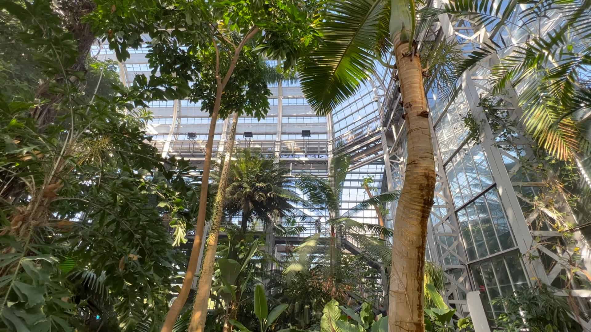 A Visitor’s Guide to the United States Botanic Garden – Garden Travel Guide