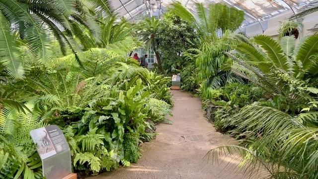 Primeval Garden United States Botanic Garden Washington DC