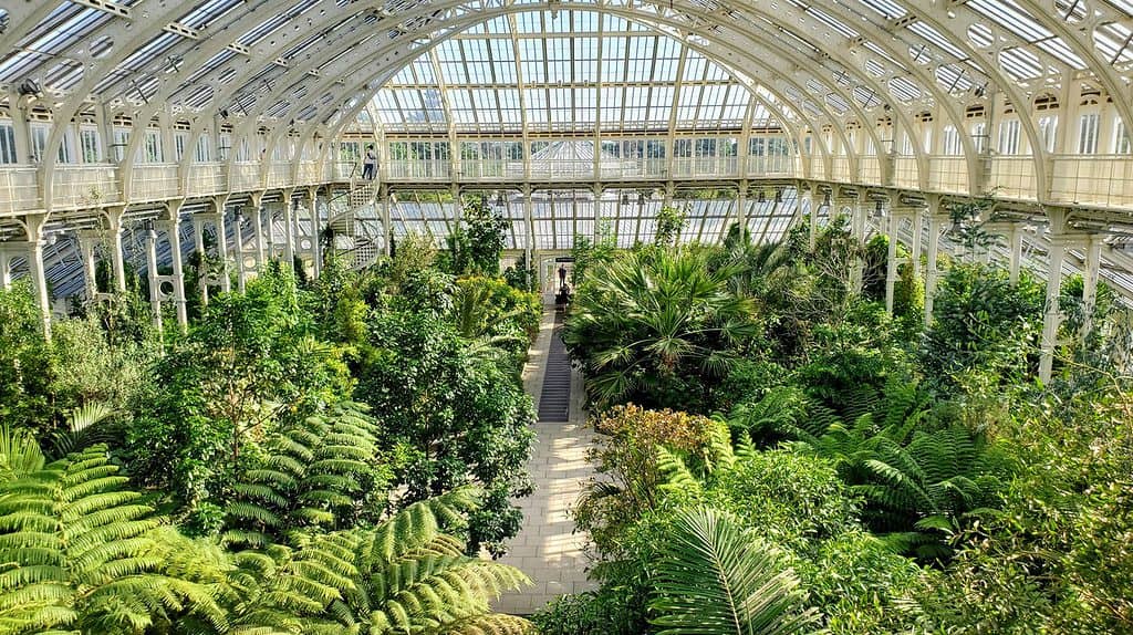 Royal Botanical Gardens, Kew, Gardens Temperate House London England
