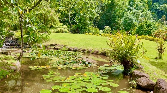 Vaipahi Water Gardens Lawn