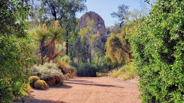 Boyce Thompson Arboretum and Botanical Garden, Trail Arizona