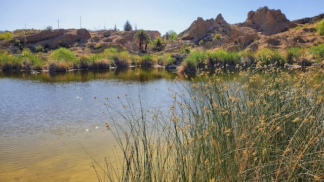 Boyce Thompson Arboretum and Botanical Garden, Ayer Lake, Arizona