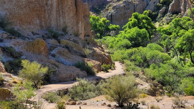 Boyce Thompson Arboretum and Botanical Garden,Trail into Queen Creek Canyon, Arizona