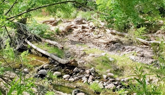 Boyce Thompson Arboretum Riparian Zone Arizona