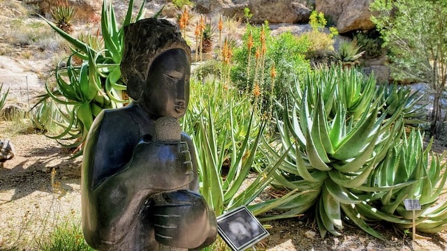 Boyce Thompson Arboretum and Botanical Garden, South African Desert, Arizona