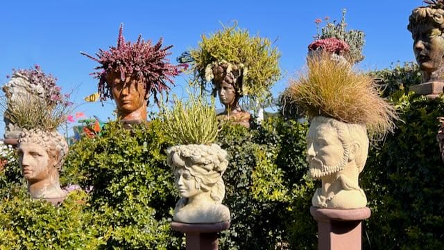 Head Planter Carlsbad Flower Fields