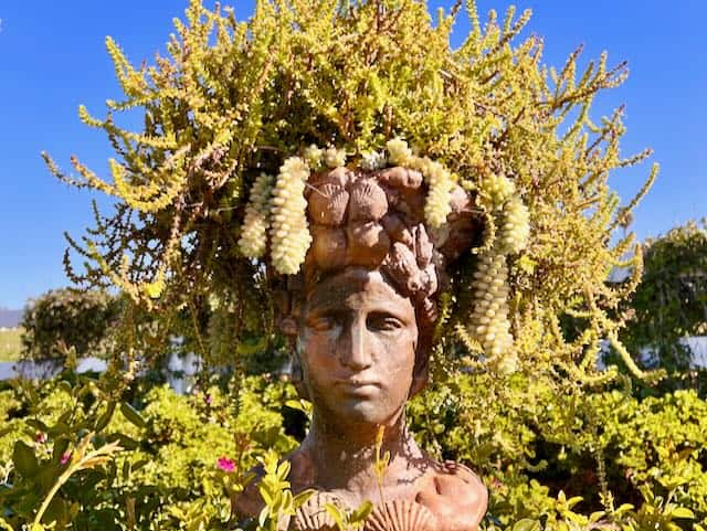 Head Planter Carlsbad Flower Fields