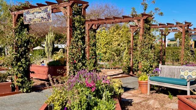 Repeating Pergolas, Master Gardeners Demonstration Garden, Carlsbad Flower Fields