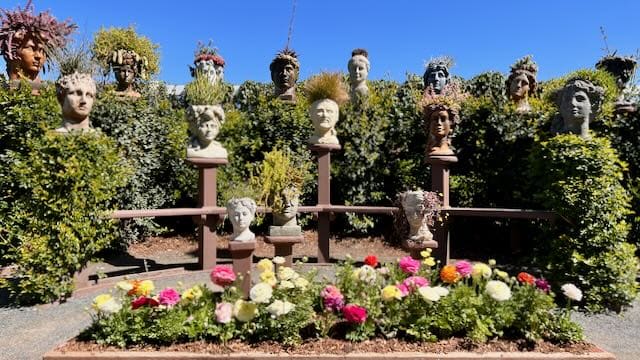 Head Planter Carlsbad Flower Fields