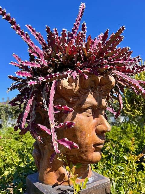 Head Planter Carlsbad Flower Fields