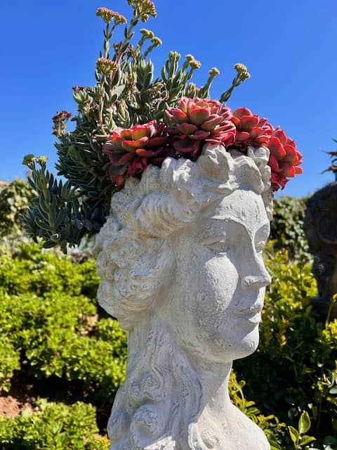 Head Planter Carlsbad Flower Fields