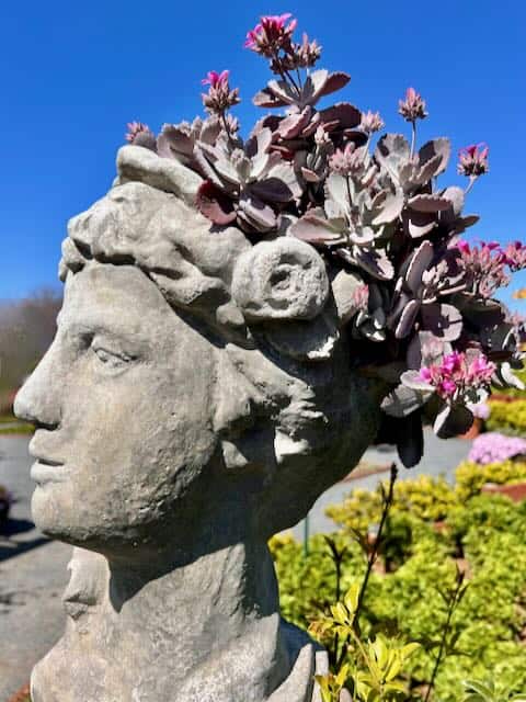 Head Planter Carlsbad Flower Fields