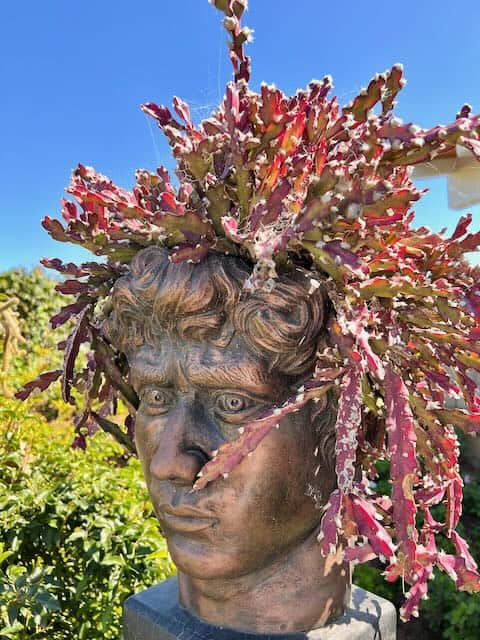 Head Planter Carlsbad Flower Fields