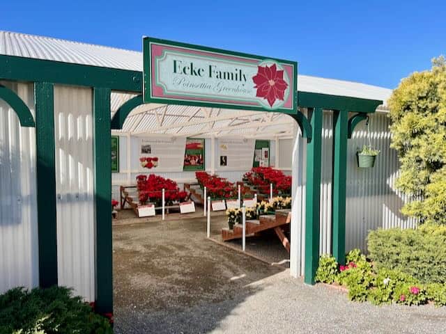 Poinsettia Greenhouse Entrance at the Carlsbad Flower Farm