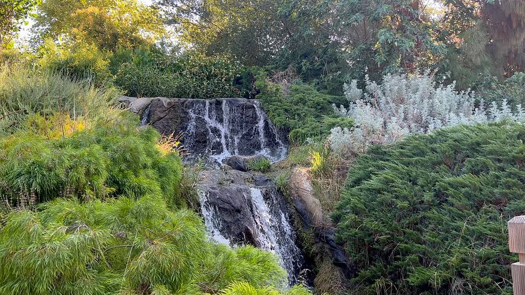 Fullerton Arboretum Waterfall