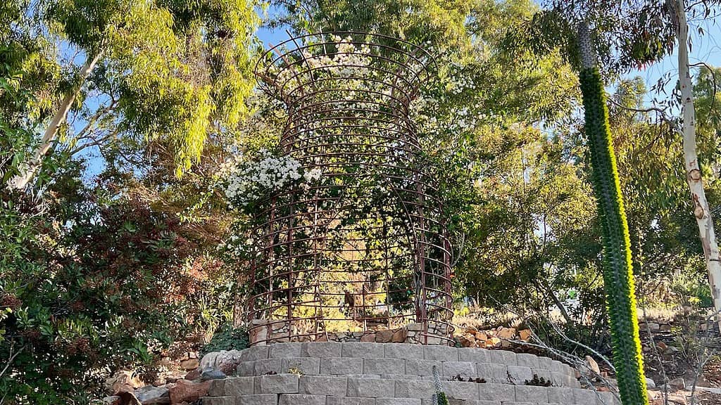 Alta Vista Botanical Gardens Baobab Tree sculpture by Robert Rochin