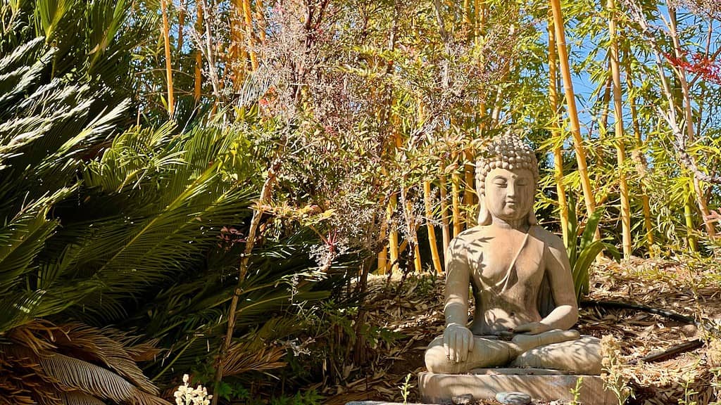 Alta Vista Botanical Gardens Buddha