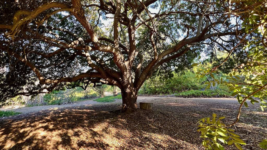 Alta Vista Botanical Gardens Secluded Spot
