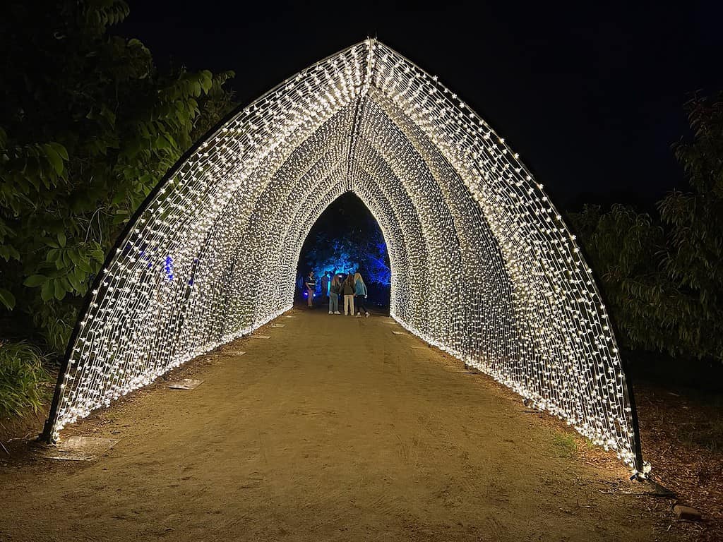 San Diego Botanic Garden Lightscape Winter Cathedral Artist Mandylights