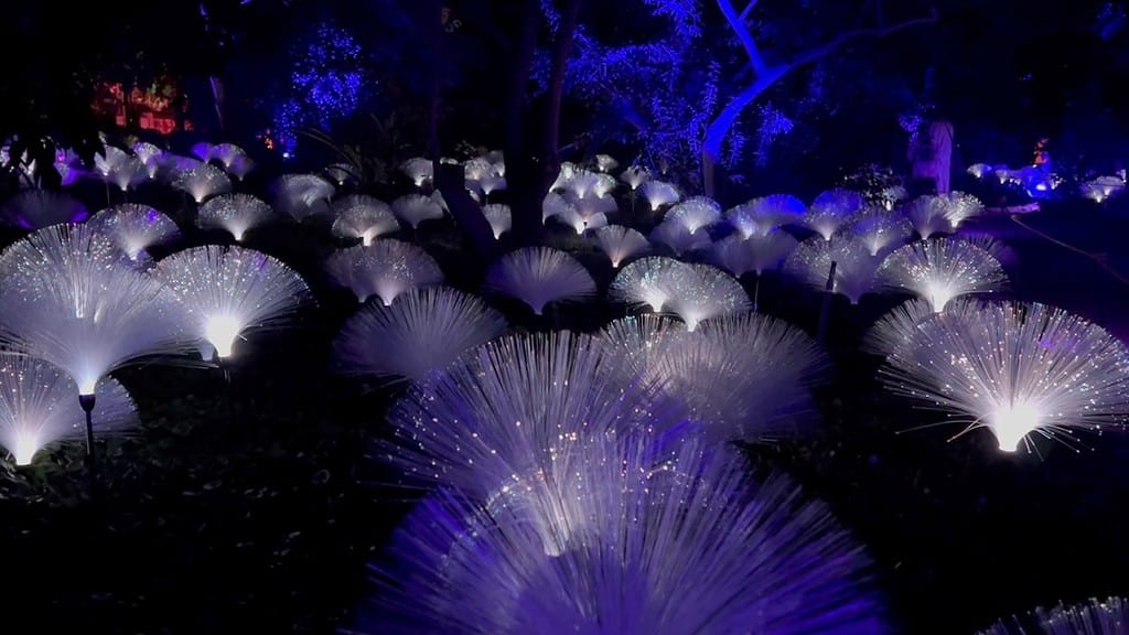 San Diego Botanic Garden Lightscape Fiber Optic Flower Garden Artist Mandylights