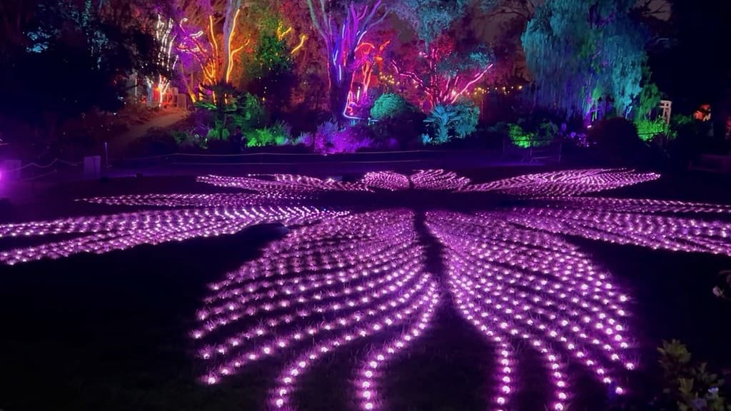 San Diego Botanic Garden Lightscape Flow Artist Squid Soup