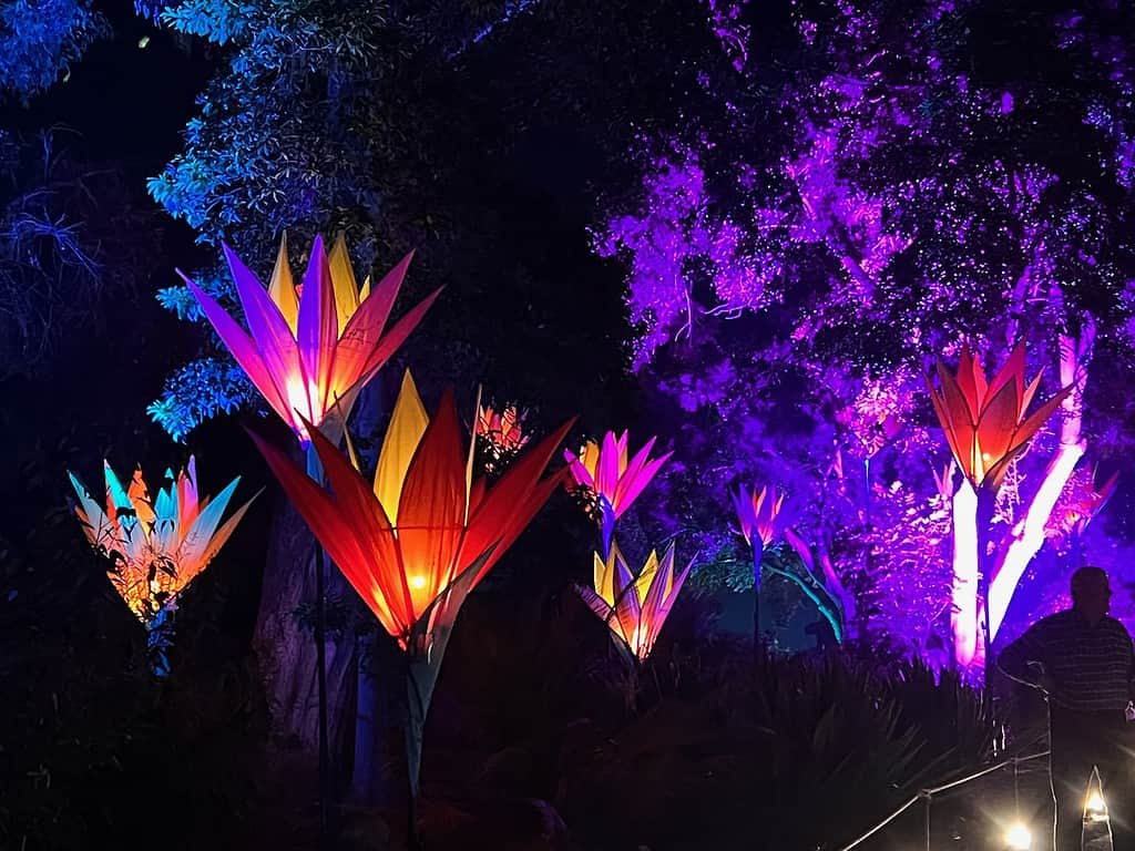 San Diego Botanic Garden Lightscape Flower Avenue Artists Jigantics and John Stewart