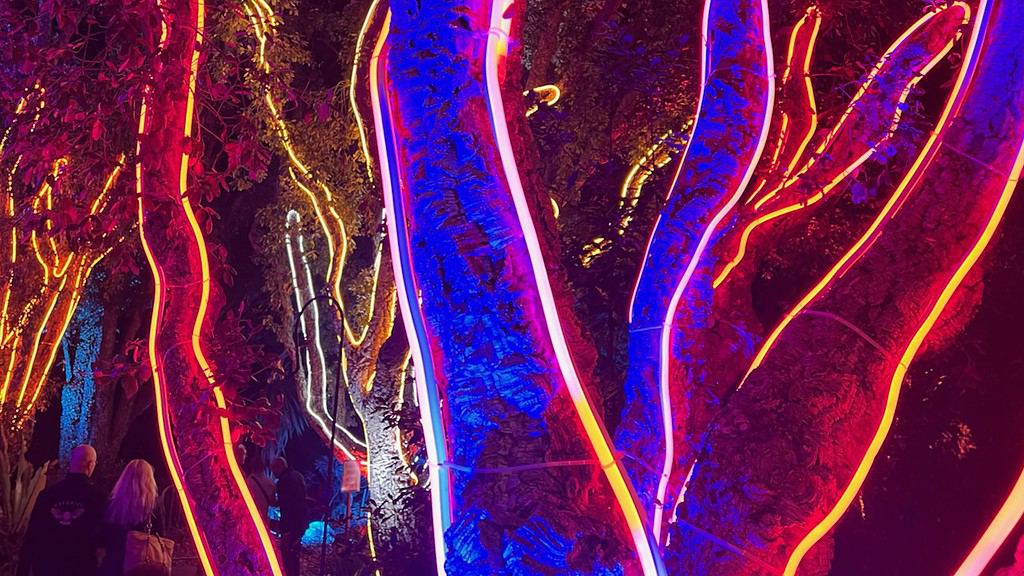 San Diego Botanic Garden Lightscape Neon Cork Trees