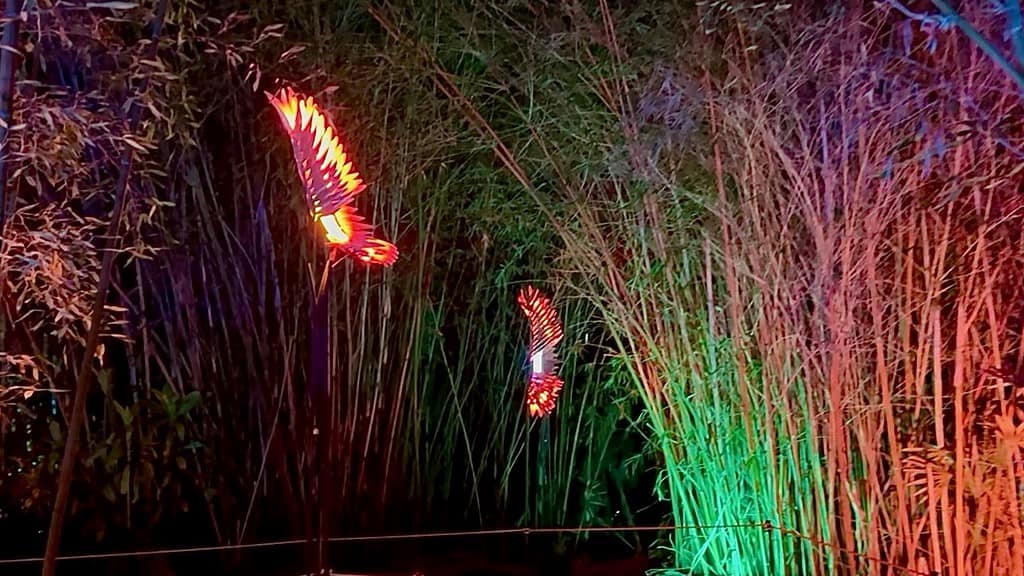 San Diego Botanic Garden Lightscape Night Birds Artist Michael Young