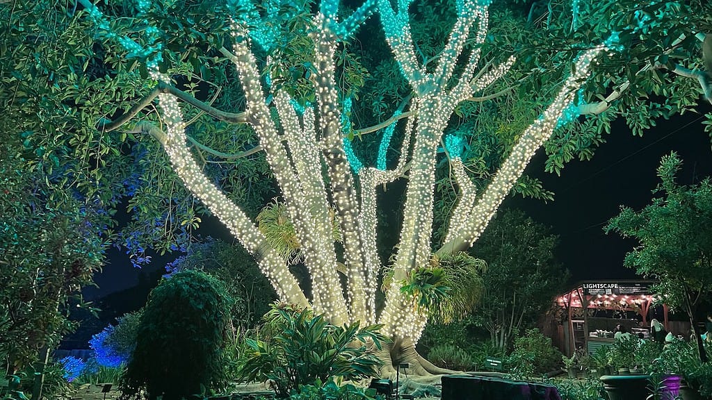 San Diego Botanic Garden Lightscape Pealight Tree Artist Culture Creative