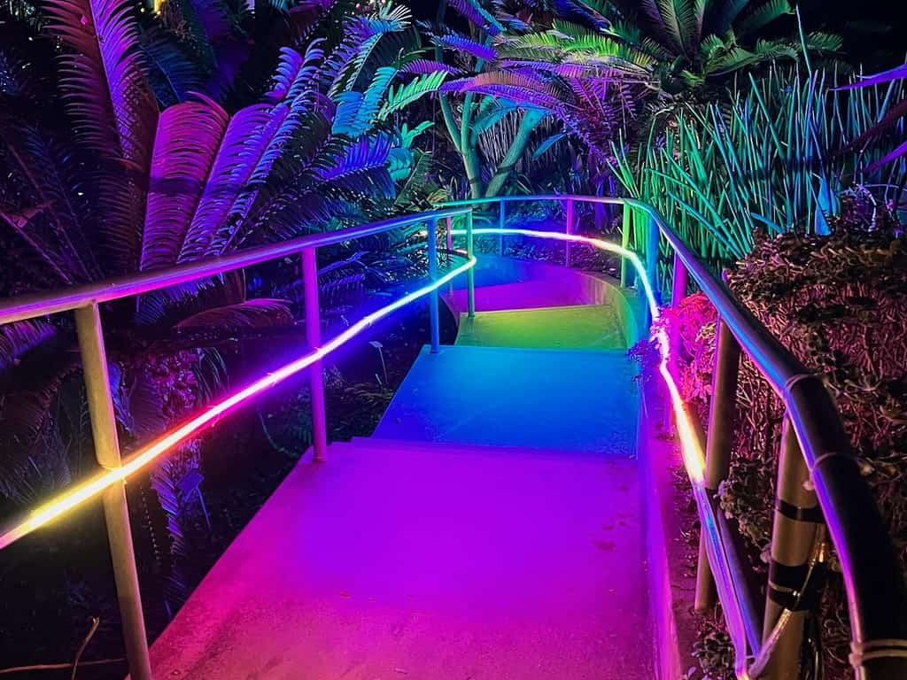 San Diego Botanic Garden Lightscape Rainbow Road Artist John Stewart