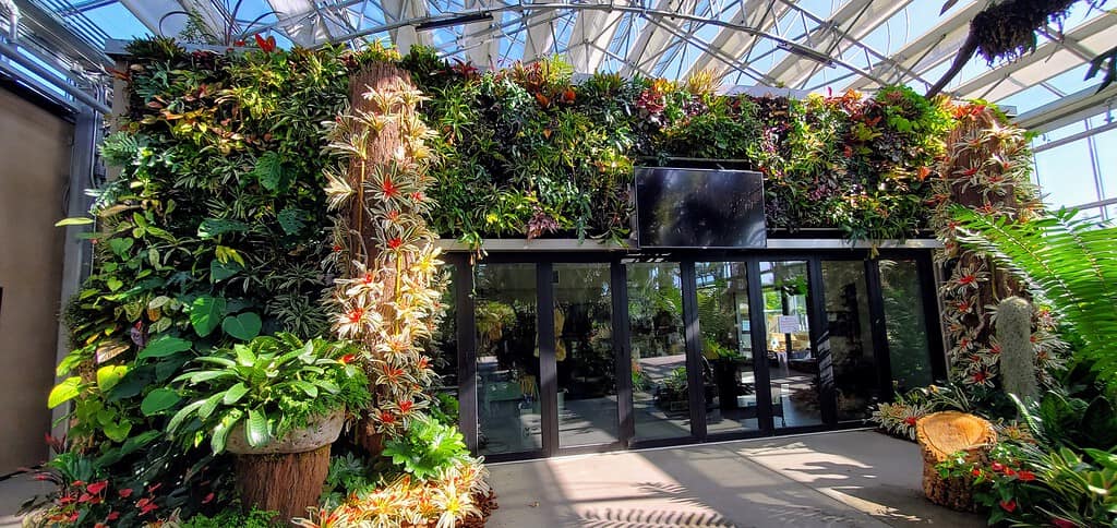 San Diego Botanic Garden Conservatory Living Plant Wall