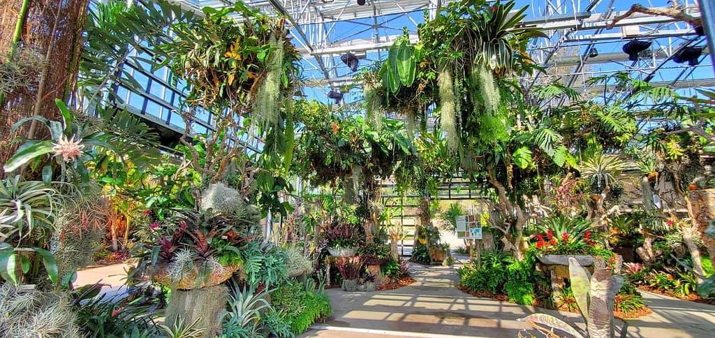 San Diego Botanic Garden Glass Conservatory